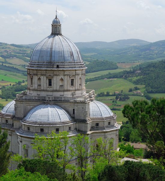 terreditordi-carousel-1